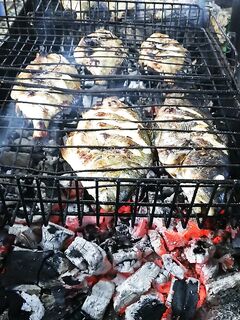 Карась на гриле и уха из скорпен: рецепт и «охладить до кондиции» обязательно