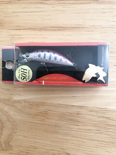 Мелкий луфарик пошёл — ждём крупного: поплавок или тиролька, поводок 1.5 м