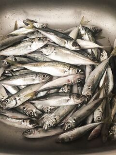 Конец июля, тёплая вода: 0.7–1 г и очень медленно, 90% поклёвок без удара