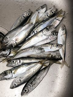 Июльский лайфхак: стригу огрызки маникюрными ножницами и ставлю крючки ≤1 г