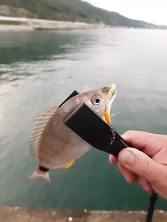 Чёрное море — железо до 3.5 г: буллер или колебалка, одинарник #10 с насечкой