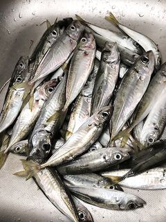 Чёрное море — обрезы оснасток и ночная раздача после 23:00 до полвторого