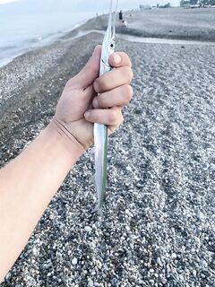 Чёрное море, рыбалка: мелкий уже ловится — старт сезона чувствуется