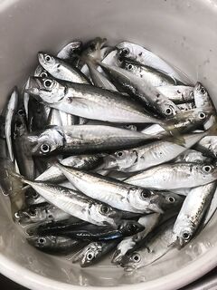 Чёрное море — подбор снастей: 1.5–3 г вольфрам, крючки 8–10, светонакопительные слаги