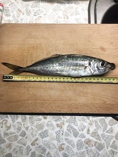 «Шпроты» и внезапный визг фрикциона: сон сняло как рукой