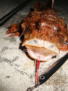 Ночь и ерш с горбатым: горбылей не выкладываю, чтобы не будоражить публику