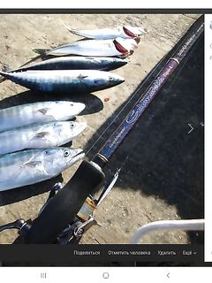 Карты глубин и береговая пеламида: железо 18–24 г и «палки из рук вырывает»