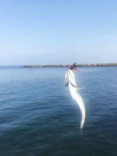 Анапа, 5:45–8:00: красная Маракуйя и чебурашка 1 г — карась, окунь, пара луфариков