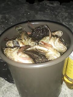 Шпора и буна: где ловить ерша у треугольного скола и как работать насадками