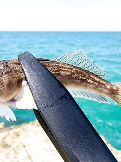 Адлер, пирс у вокзала: подозрительный «европейский звёздочёт» и надежды на ночь