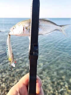 Смешная пауза в теме: «детский сад» и снова строим снасть по делу