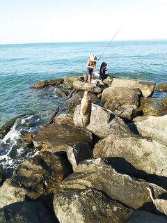Береговой «гастроэнтузиаст»: забирает всё и перегораживает забросы крокодилами