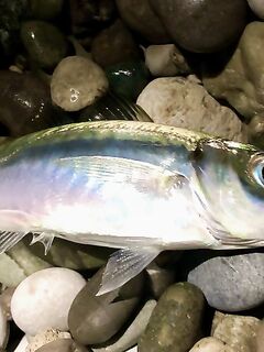 Интернет слабый — фото позже, отмечаюсь коротко и вернусь с иллюстрациями