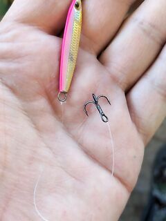 Короткая отметка без деталей — уточните снасть, приманку и время выхода по месту