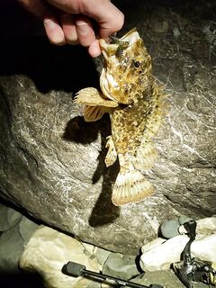 Имеретинка, боковой ветер и смена приманок: карася не нашёл, ушёл в скорпену