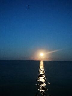 Рассветная буну-сессия: пилькеры без отклика, отводной с червём дал частые поклёвки