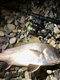 Ночная смена: горбылина почти 1.5 кг, второй поменьше и «стаи» скорпены на рака