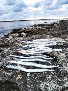 Вечерний коридор: 13 шт. до 18:45, потом резкий стоп — зато закат как в кино