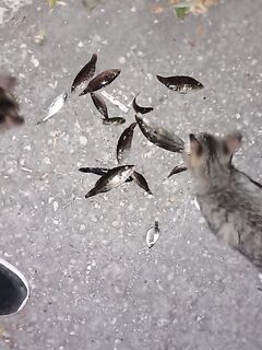 Коктебель — заход на каменное дно: план выполняется, держу контакт с рельефом