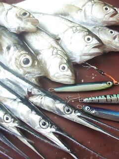 Когда море колбасит: фото с рыбалок под ветром и волной, работа по окнам клёва