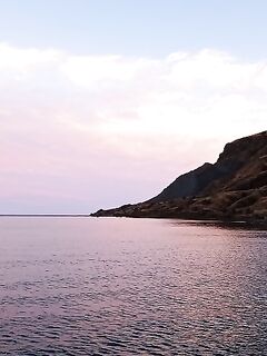 Коктебель — луфарь рулит, бомбарды ноль: котам донная рыба, Новый Свет покорил