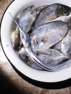 Утренние караси и «тот самый» — цель закрыта одним экземпляром