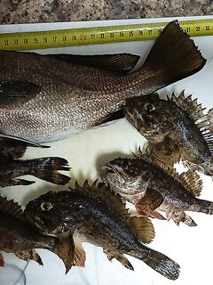 Имеретинские камни до 19:00: короткий сет на микрорезину между делами