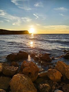 Западный 4–5 м/с, бомбарда по дну и зелёнушка; семь поводков унес луфарь