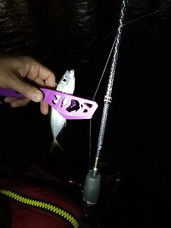 Геленджик с 4:00: актив быстро кончился, к 8:00 буна забита; мормышинг рулит