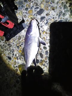 Только что: короткая фиксация выхода без деталей — окно ловли было