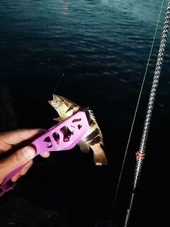 Каменная насыпь и эльдорадо у кромки: кукушка клюнула, карася мало, но весело