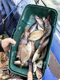 Криница, лодка и травянисто-каменный стол: эхолот, креветка и быстрая раздача