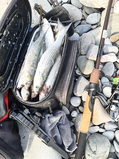 Тем же комплектом с 11 до 14: клев стоял, но кан закончился раньше