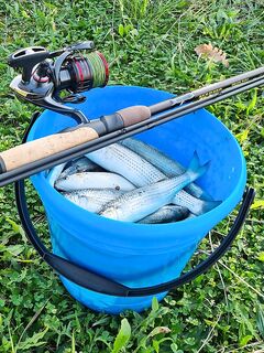 Чёрное море, день удачи: «кайф, а не рыбалка» — 7,8 кг за выход