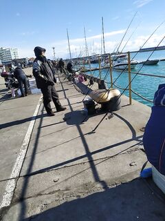 Адлерский порт — «копьеносцы»: рыбалка чашкой и донкой в толпе не моё, но опыт засчитан