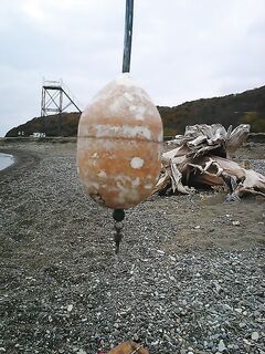 Снасть под бомбарду: шнур 0.10, шок-лидер 0.18 на 10 м, бусинка и вертлюг