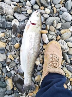 Чёрное море по классике: блёсны и вертушки без резины - проверяю реакцию
