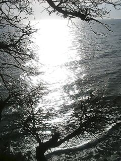 Кубань со скалы: по весне в бинокль видно, как оживает море и подходит карась