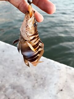 Кабардинка сегодня: вышел на короткий променад по точкам и по снастям