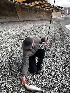 Крым, Ялта: охота за микижей в море и реках продолжается - морская рыбалка тут