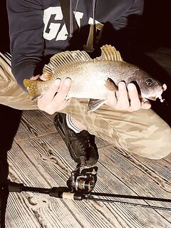 Кабардинка к вечеру стихла: три поклёвки на резину, горбылик пойман и отпущен