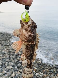 Сочи, первый день обратно у моря: изучаю снасти и точки, пока приглядываюсь