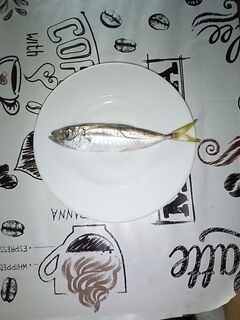 Накат, мутняк и южный ветер: редкая ставрида ночью, рыбаки разошлись к двум