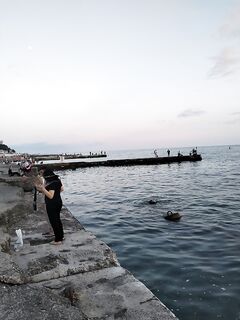 Сочи парк и ночная речка: рыбалка по ставриде на бунах и пеленг до рассвета