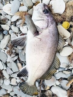 Геленджик, смена погоды и жёсткий удар: палку едва не сломал