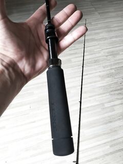 С ней и без неё: сравнил оснащение точки и поведение рыбы