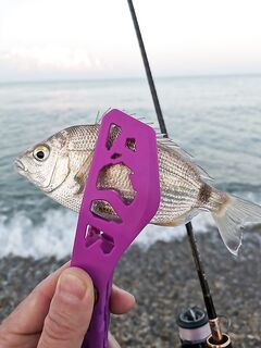 Первые два заброса дали половину улова: дальше стихло и СлаАбо