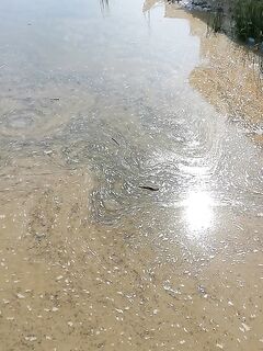 Рыбалка на диком пляже и тонкая снасть: выбираю лёгкий комплект вместо тяжёлых способов