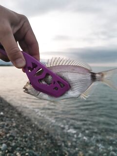 Имеретинка до восхода: активный карась у бровки, потом на выброс — микрозачёты