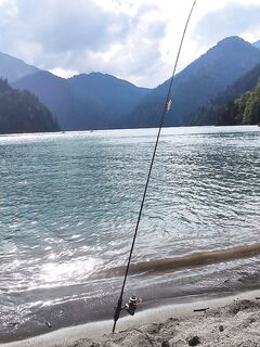 Озеро Рица, белый пламп: форель сошла у свала в двух метрах